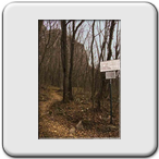 sentiero che si stacca dal n°1 per raggiungere ferrata Gamma 1 al Pizzo d'Erna